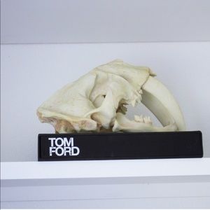 Z GALLERIE • FAUX SABER TOOTH TIGER SKULL